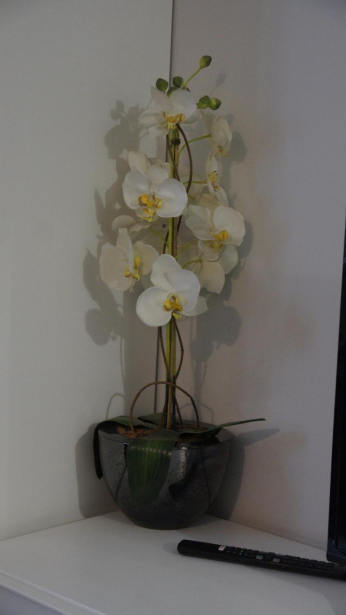 Mia Mia House Pansiyon Katoviçe Dış mekan fotoğraf